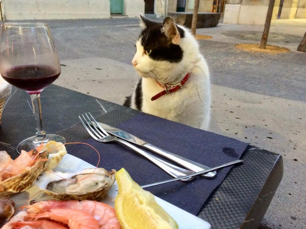 SérignanBeach, Wine, Dining, Sports, Summer, Winterアパートメント エクステリア 写真