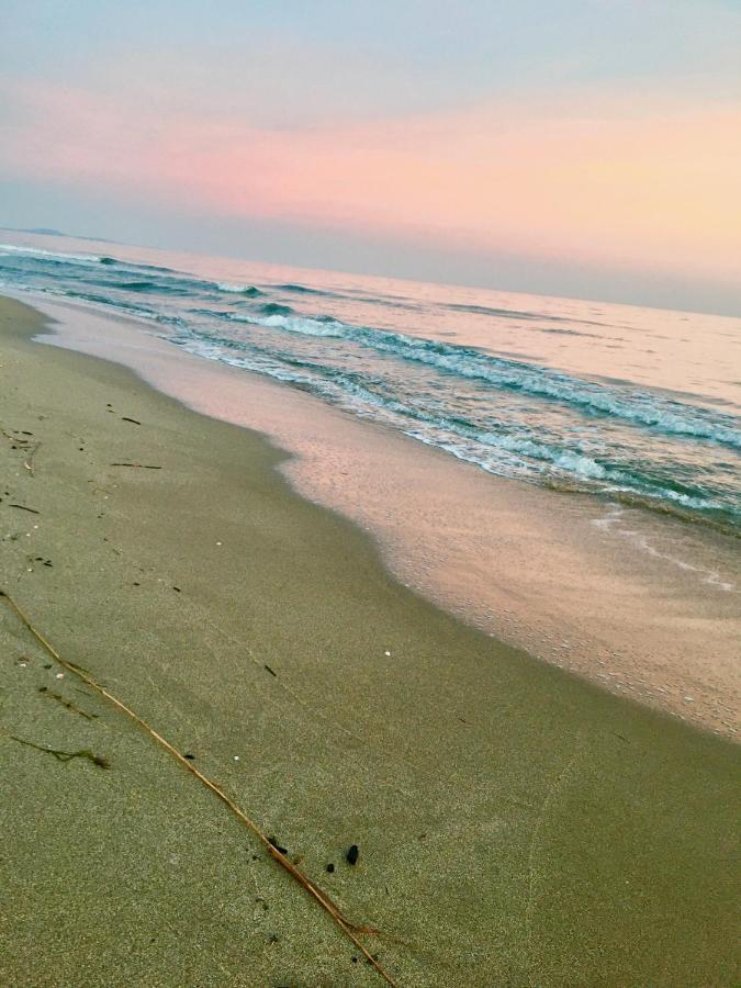 SérignanBeach, Wine, Dining, Sports, Summer, Winterアパートメント エクステリア 写真