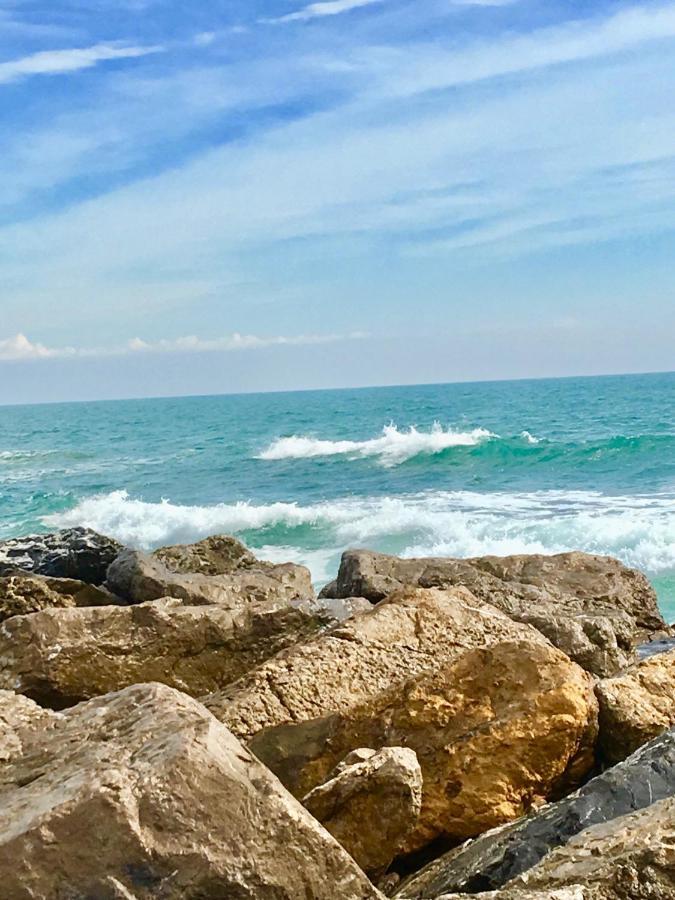 SérignanBeach, Wine, Dining, Sports, Summer, Winterアパートメント エクステリア 写真