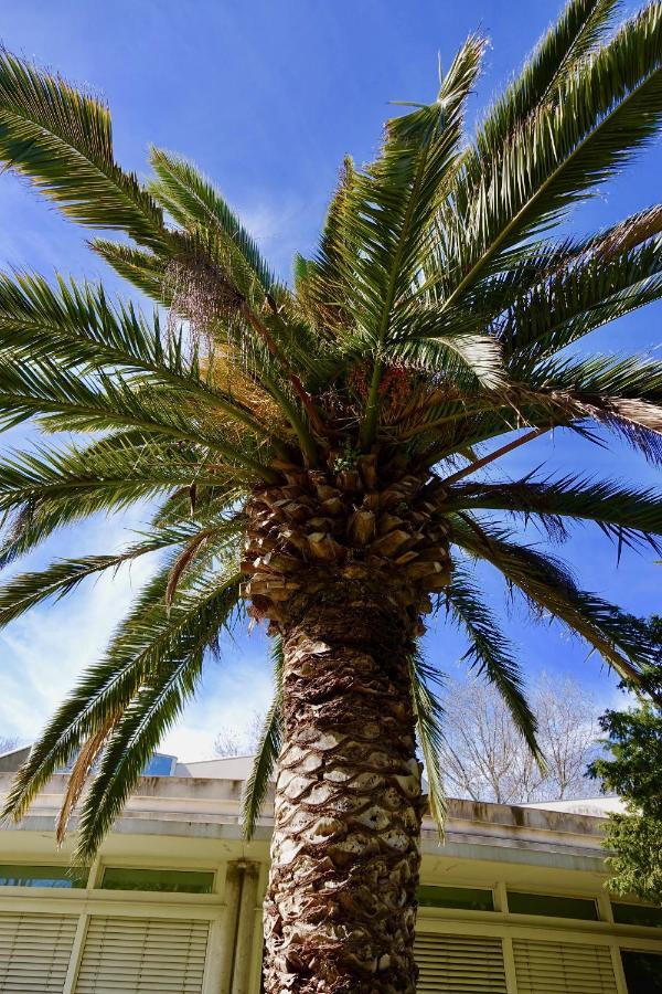 SérignanBeach, Wine, Dining, Sports, Summer, Winterアパートメント エクステリア 写真